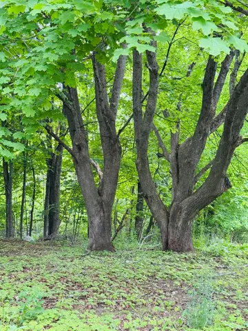 $149,900 | 156 Railroad Street, Clinton, ME 04927