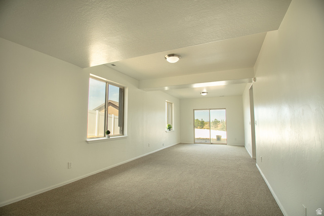 3365 Falcon Way Layton, UT 84040 - Photo 17 of 27 Family Room Basement