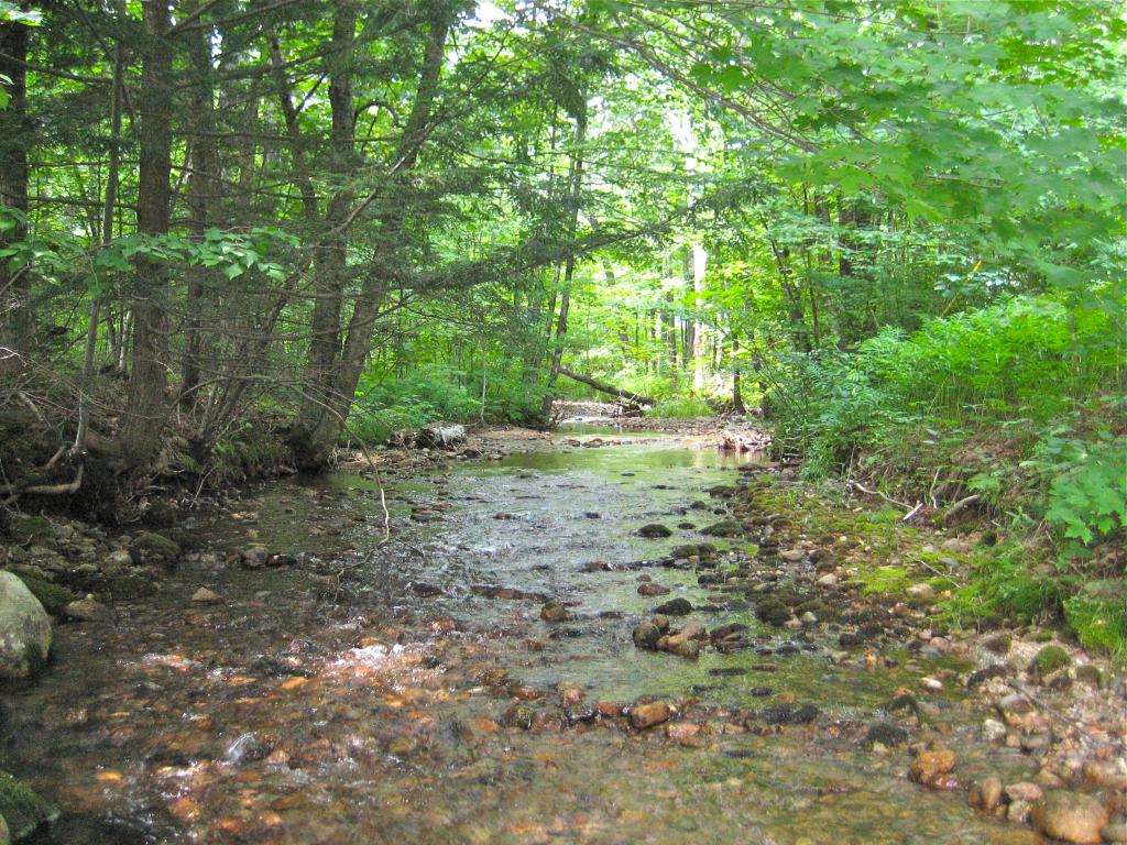 17 Ferncroft Road Conway, NH 03818 - Photo 7 of 9