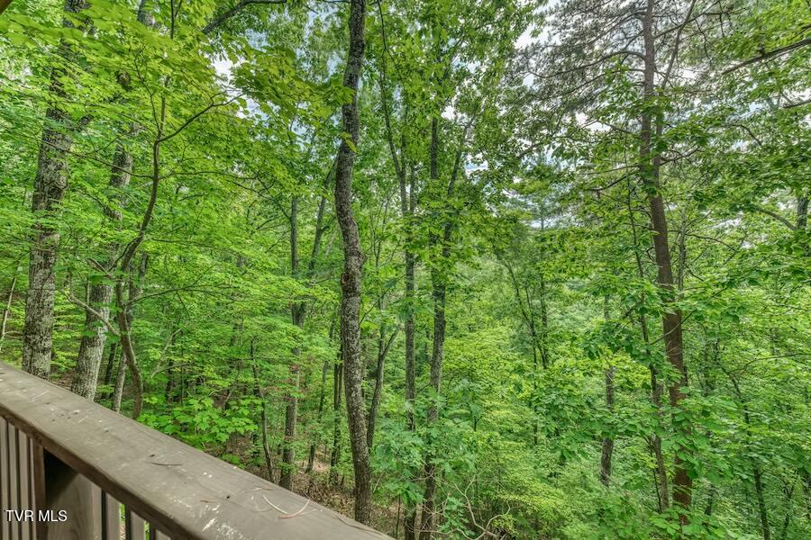 331 Hickory Bluff, Unit 331 Johnson City, TN 37601 - Photo 42 of 49 331 Hickory Bluff-42