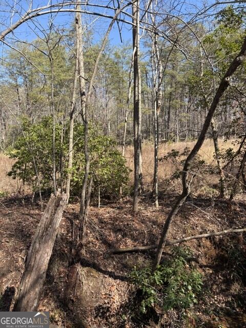 343 Hank Fry Road Clarkesville, GA 30523 - Photo 7 of 25 Gallery Image 7