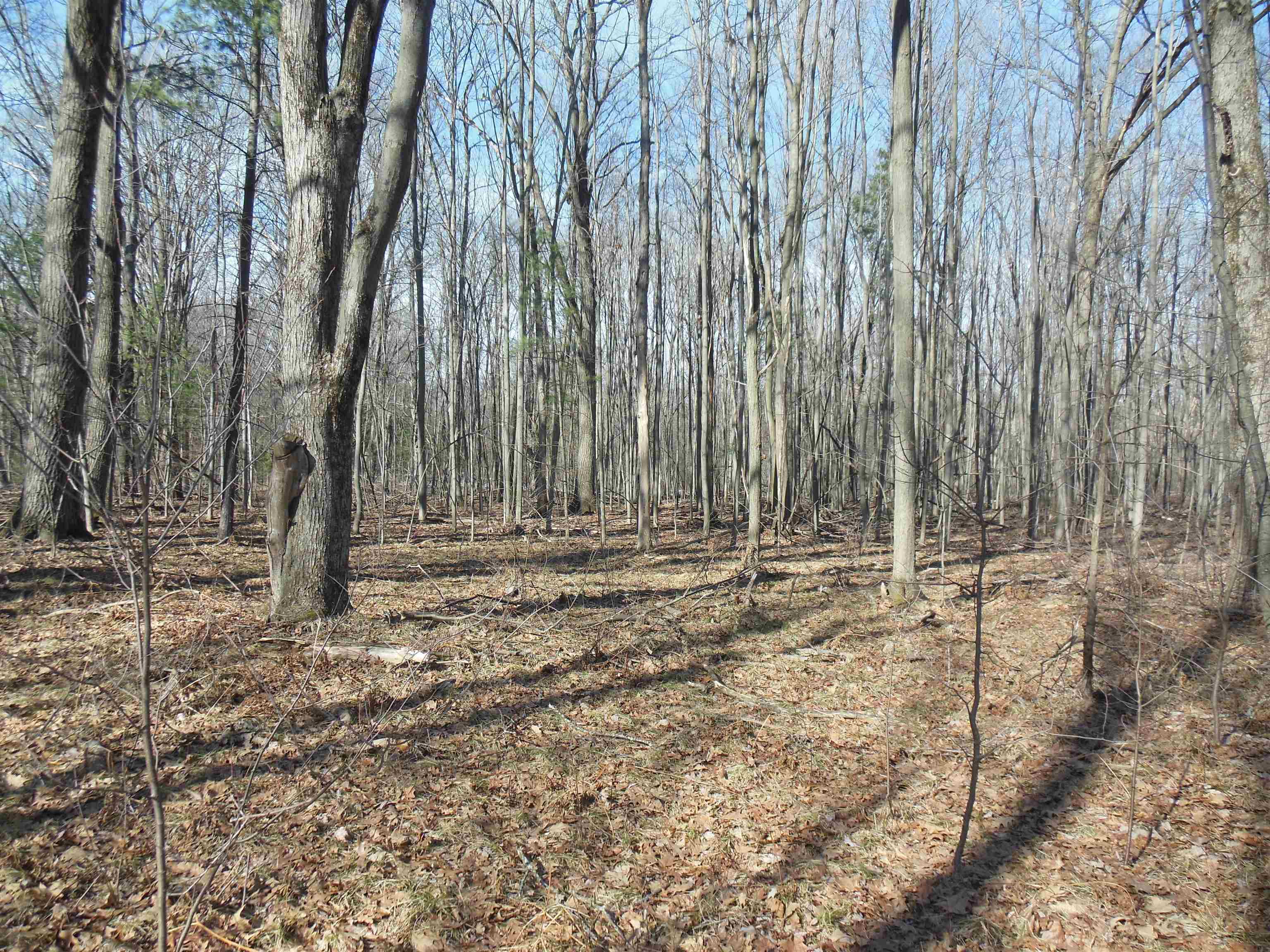 581 East Clarence Road Harrison, MI 48625 - Photo 10 of 29 Gallery Image 10