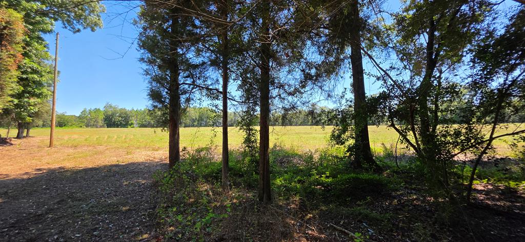 Lot 7 Acres Grady Garner Road Slocomb, AL 36375 - Photo 49 of 58