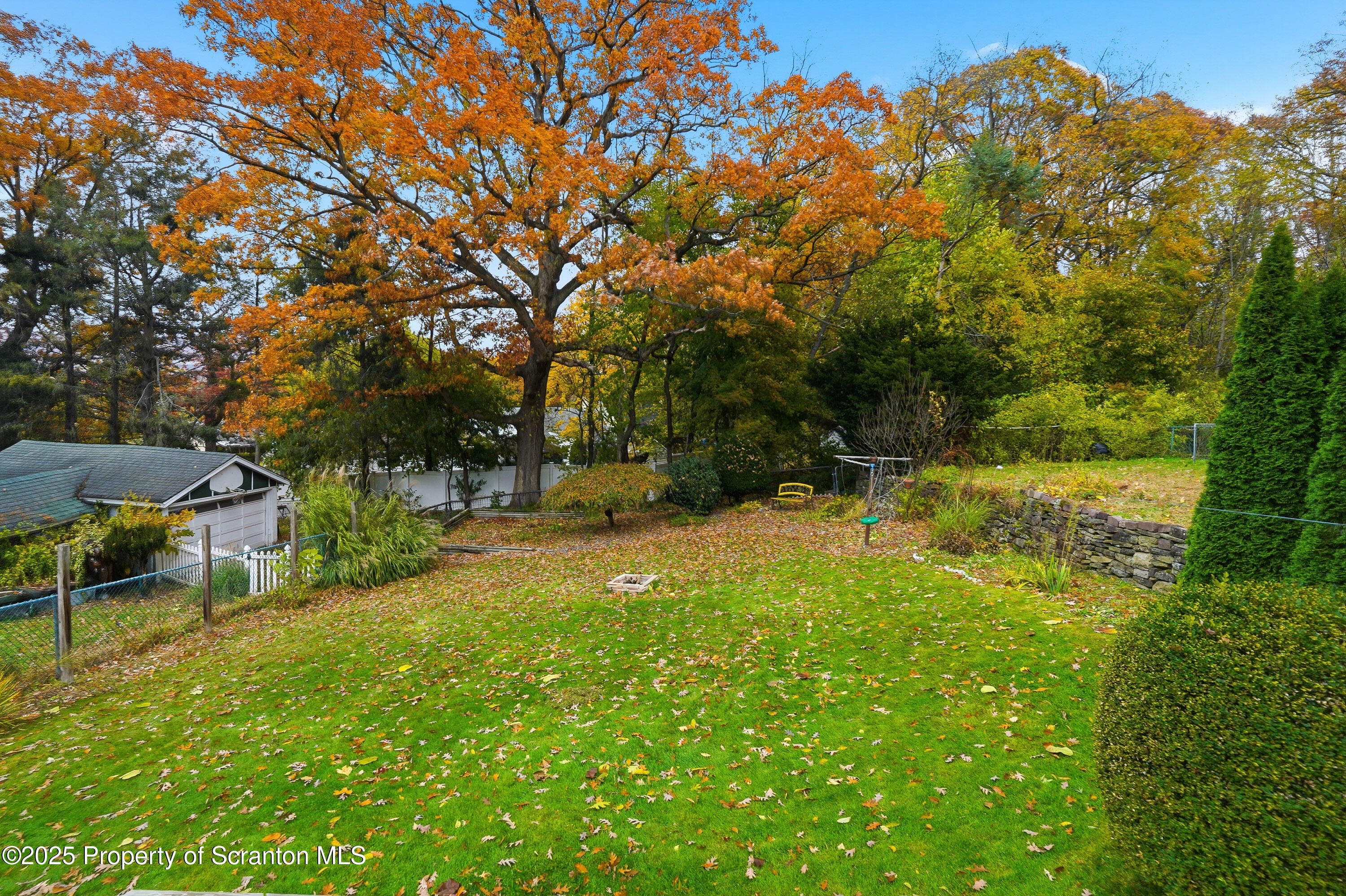 123 William Street Scranton, PA 18510 - Photo 24 of 25 a view of backyard with swimming pool and trees