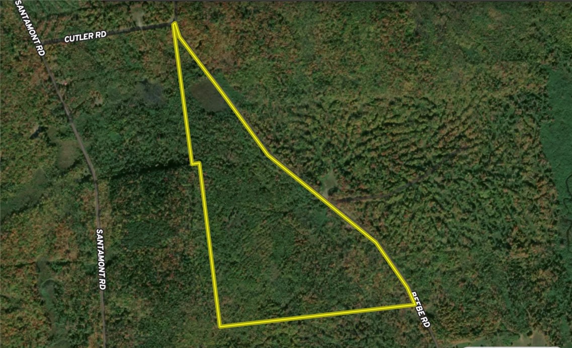 556 Beebe Road Potsdam, NY 13676 - Photo 46 of 50