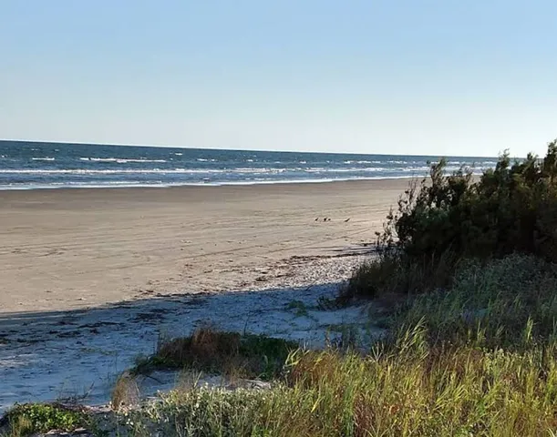 $2,350,000 | 12119 Bluewater Hwy Cr, Freeport, TX 77541