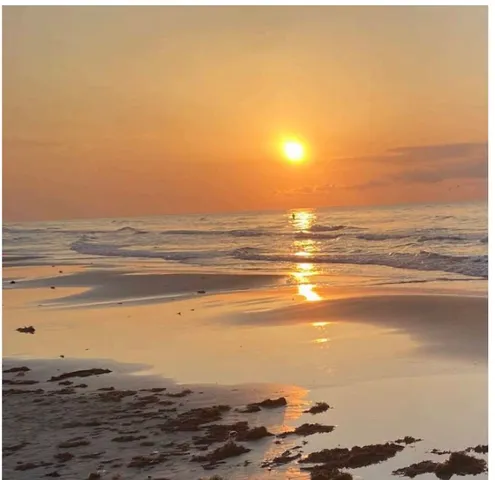 $2,350,000 | 12119 Bluewater Hwy Cr, Freeport, TX 77541