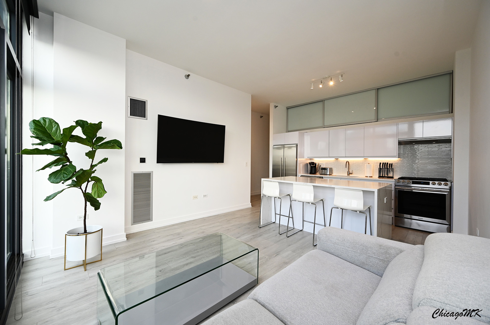 235 West Van Buren Street, Unit 2213 Chicago, IL 60607 - Photo 4 of 31 a living room with stainless steel appliances furniture a flat screen tv and a potted plant