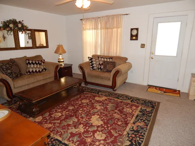 a living room with furniture and a rug