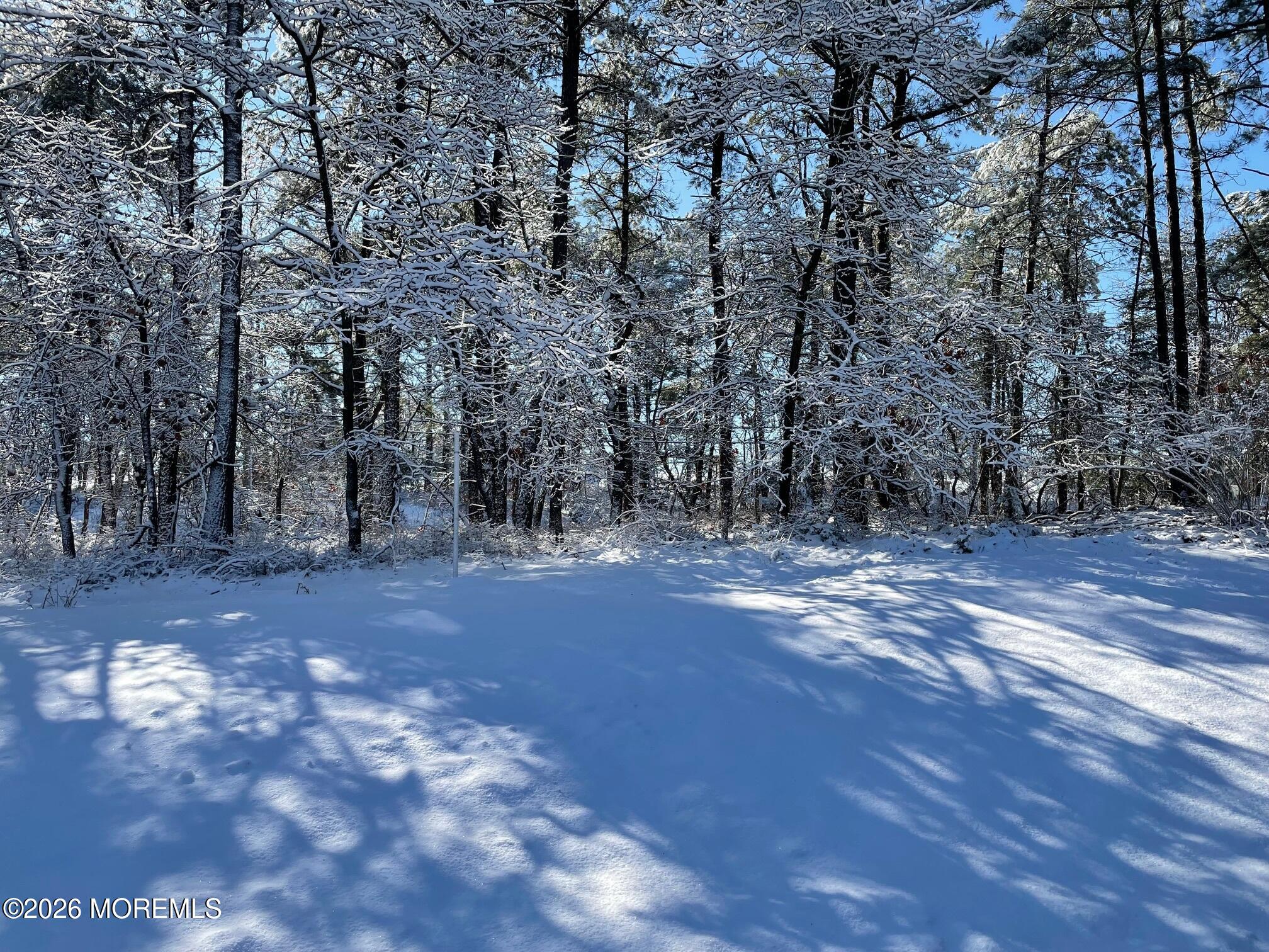 14 Churchill Road, Unit 71 Whiting, NJ 08759 - Photo 18 of 18 a view of a yard with trees