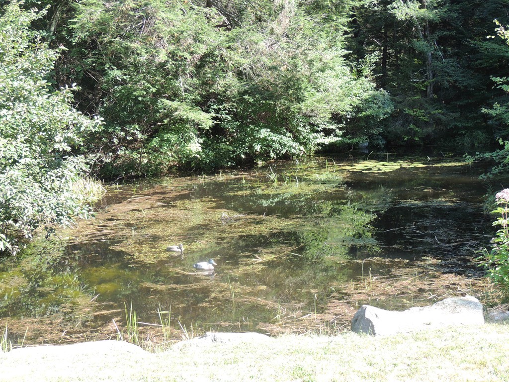 400 Lower Hampden Road Monson, MA 01057 - Photo 28 of 30 a view of a yard