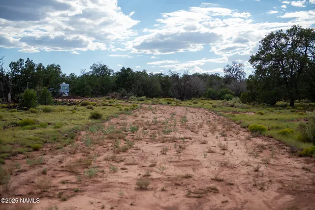 a view of dirt road with a bunch of trees