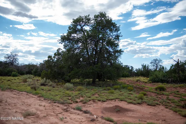 a view of a field with trees around