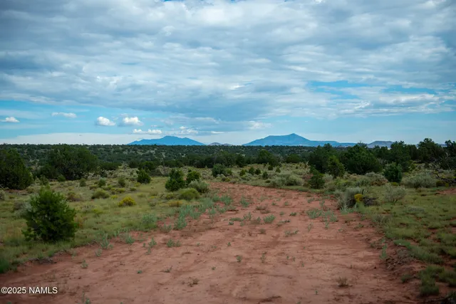 a view of a big yard with lots of green space