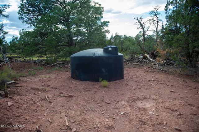 a view of a dry yard with trees