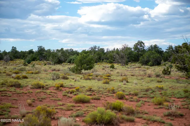 a view of a field of grass and trees
