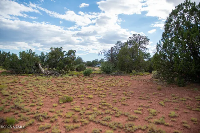 a view of an outdoor space with deck and trees