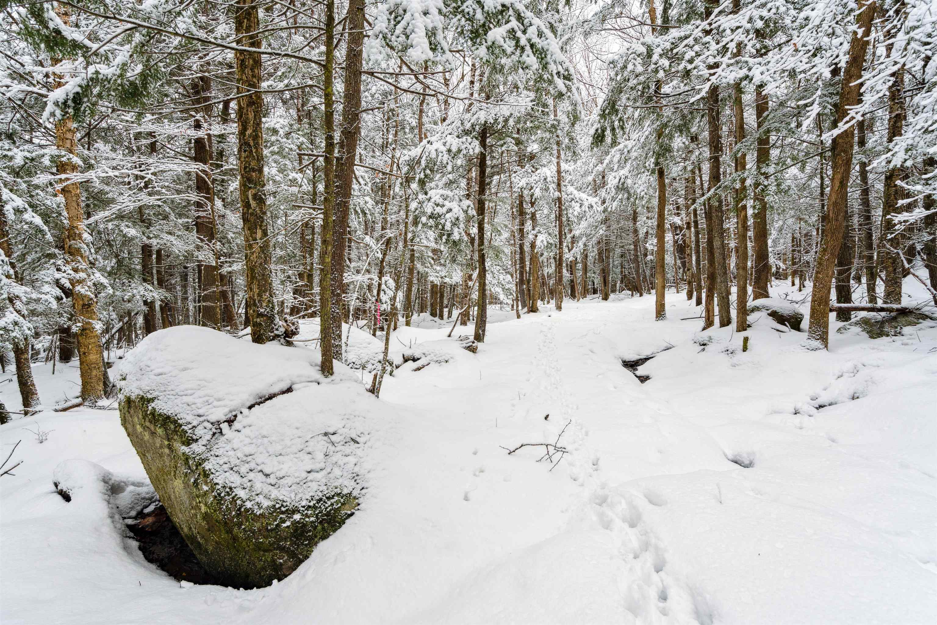 0 Slayton Hill Road Lebanon, NH 03766 - Photo 2 of 7 Gallery Image 2