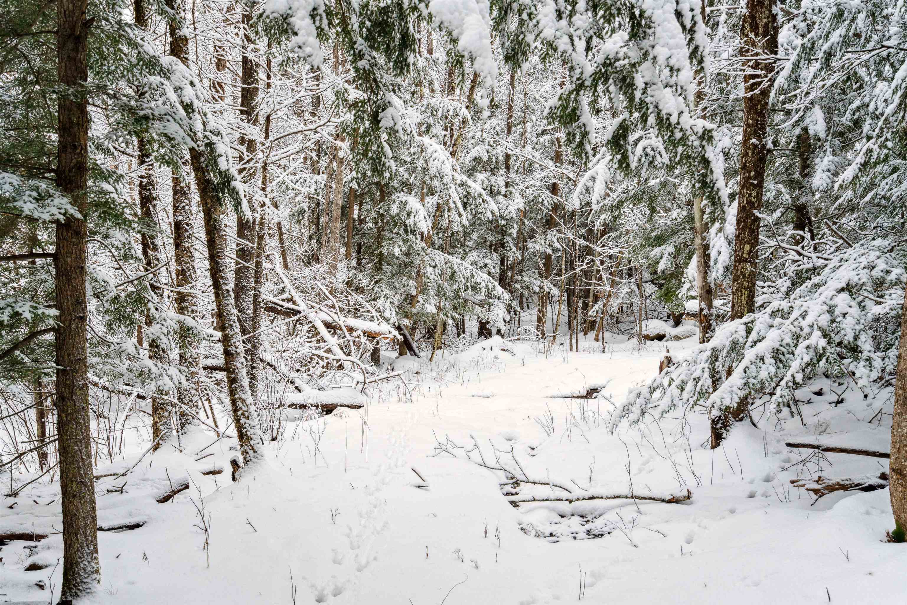 0 Slayton Hill Road Lebanon, NH 03766 - Photo 3 of 7 Gallery Image 3
