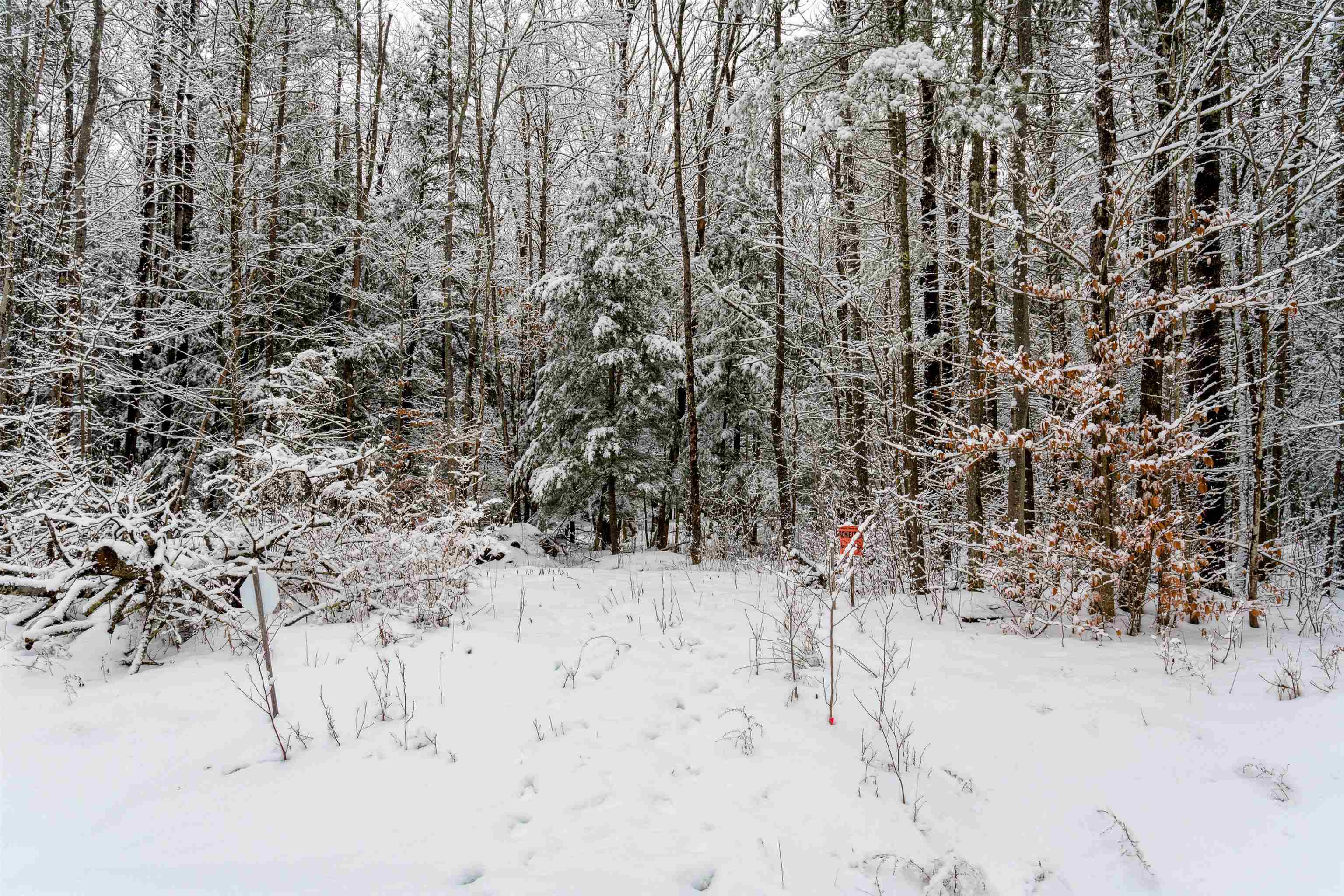 0 Slayton Hill Road Lebanon, NH 03766 - Photo 4 of 7 Gallery Image 4