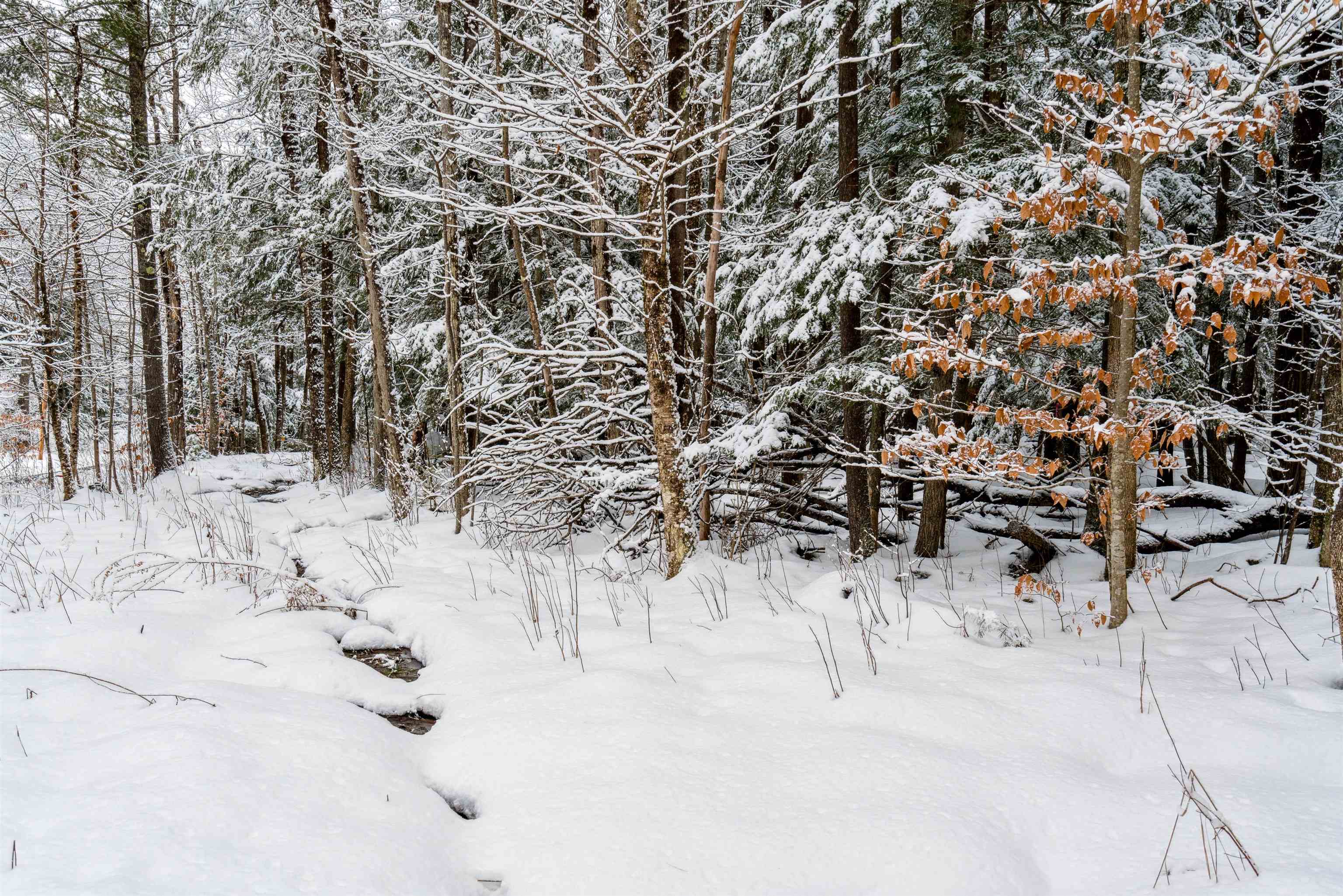 0 Slayton Hill Road Lebanon, NH 03766 - Photo 5 of 7 Gallery Image 5