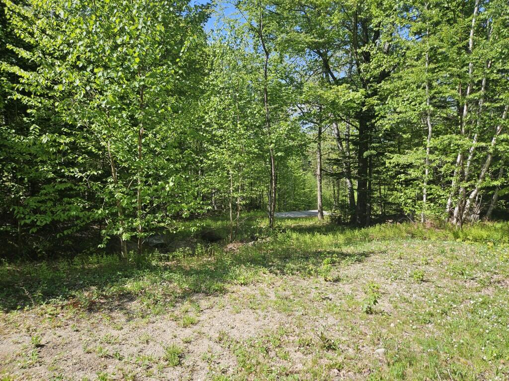21 Jewett Way Hanover, ME 04237 - Photo 24 of 57 20260526_104021