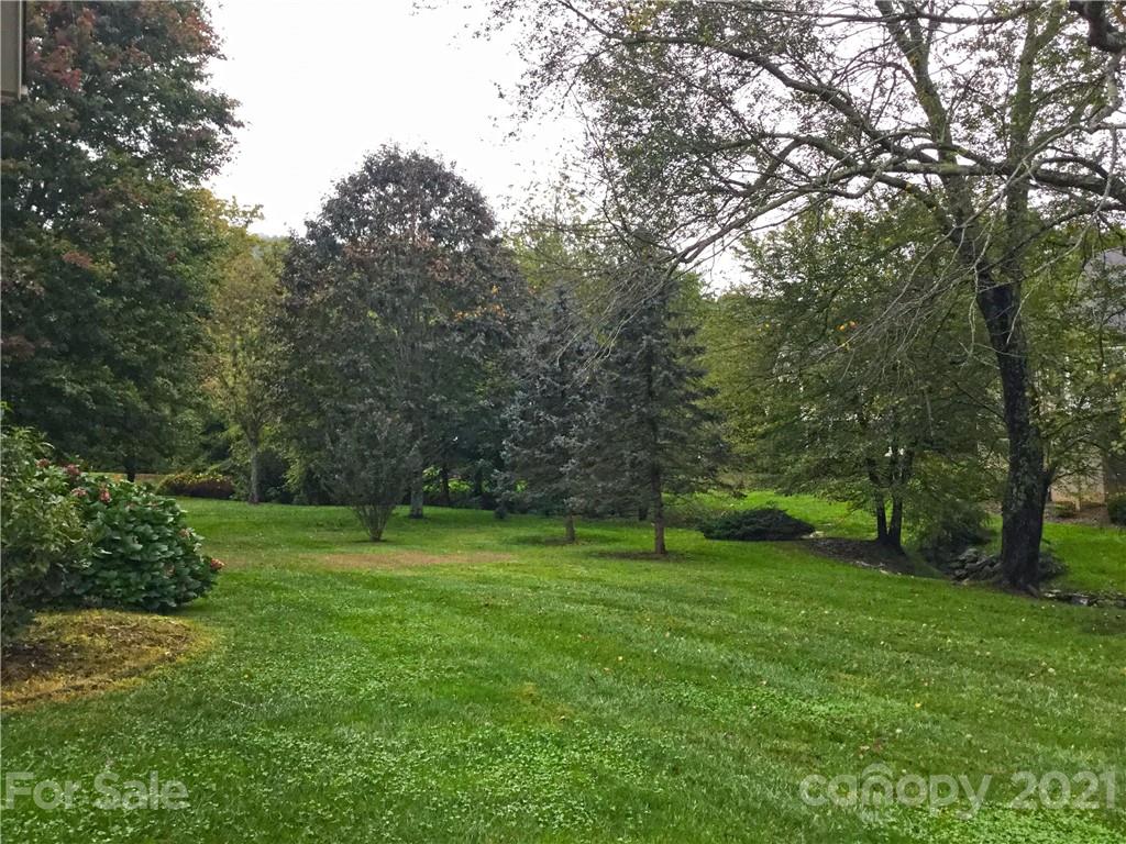 56 Devonshire Drive Mills River, NC 28759 - Photo 41 of 43 a view of a park