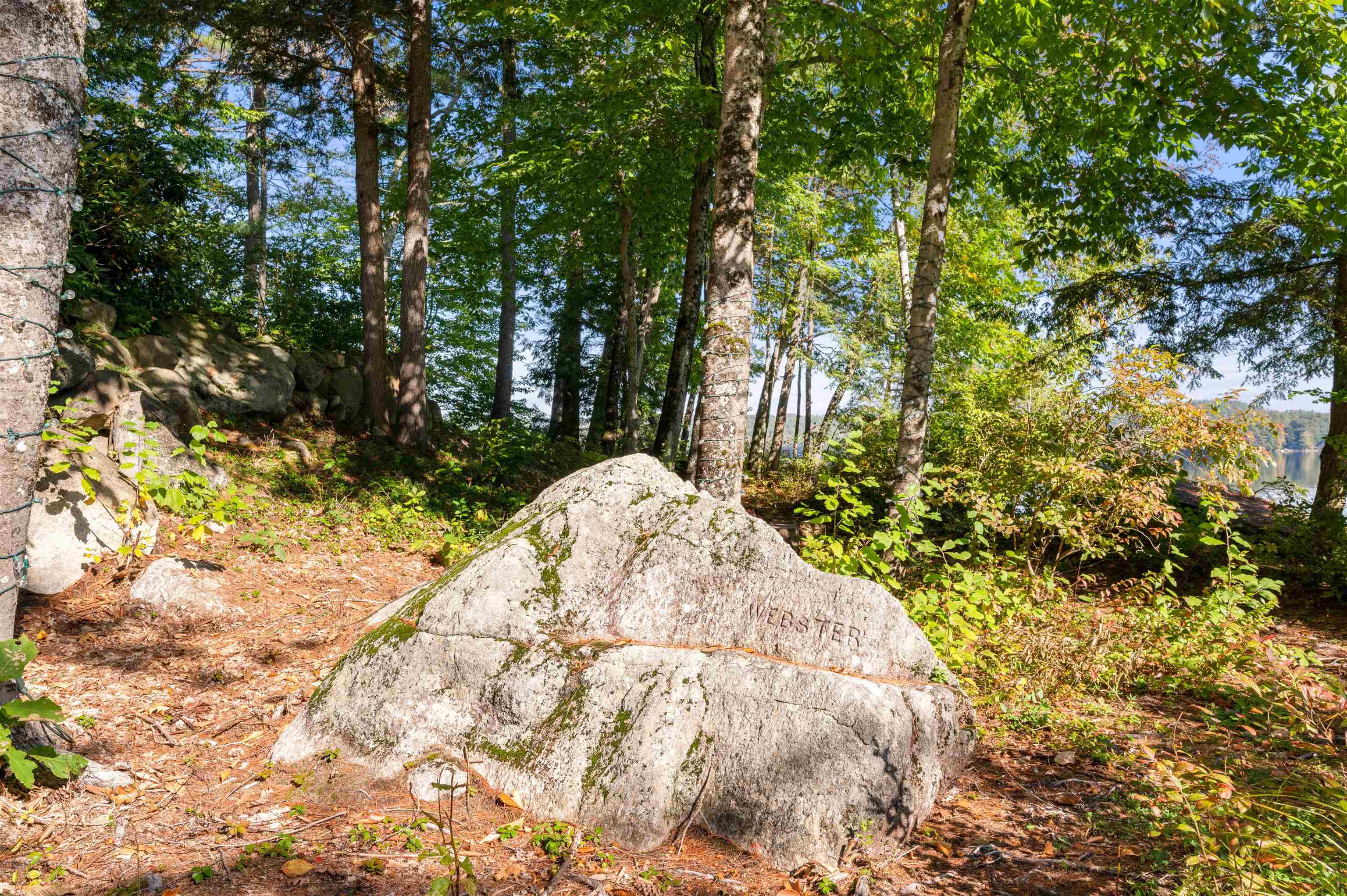 285 Webster Lake Road Franklin, NH 03235 - Photo 30 of 39