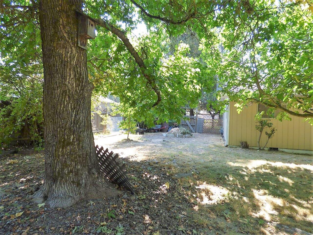 822 West Harbeck Road Grants Pass, OR 97527 - Photo 11 of 40 Side yard - Southern Oregon Homes