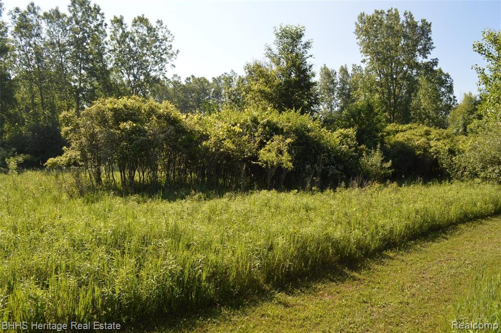Vl North Nicholson Road Fowlerville, MI 48836 - Photo 4 of 7
