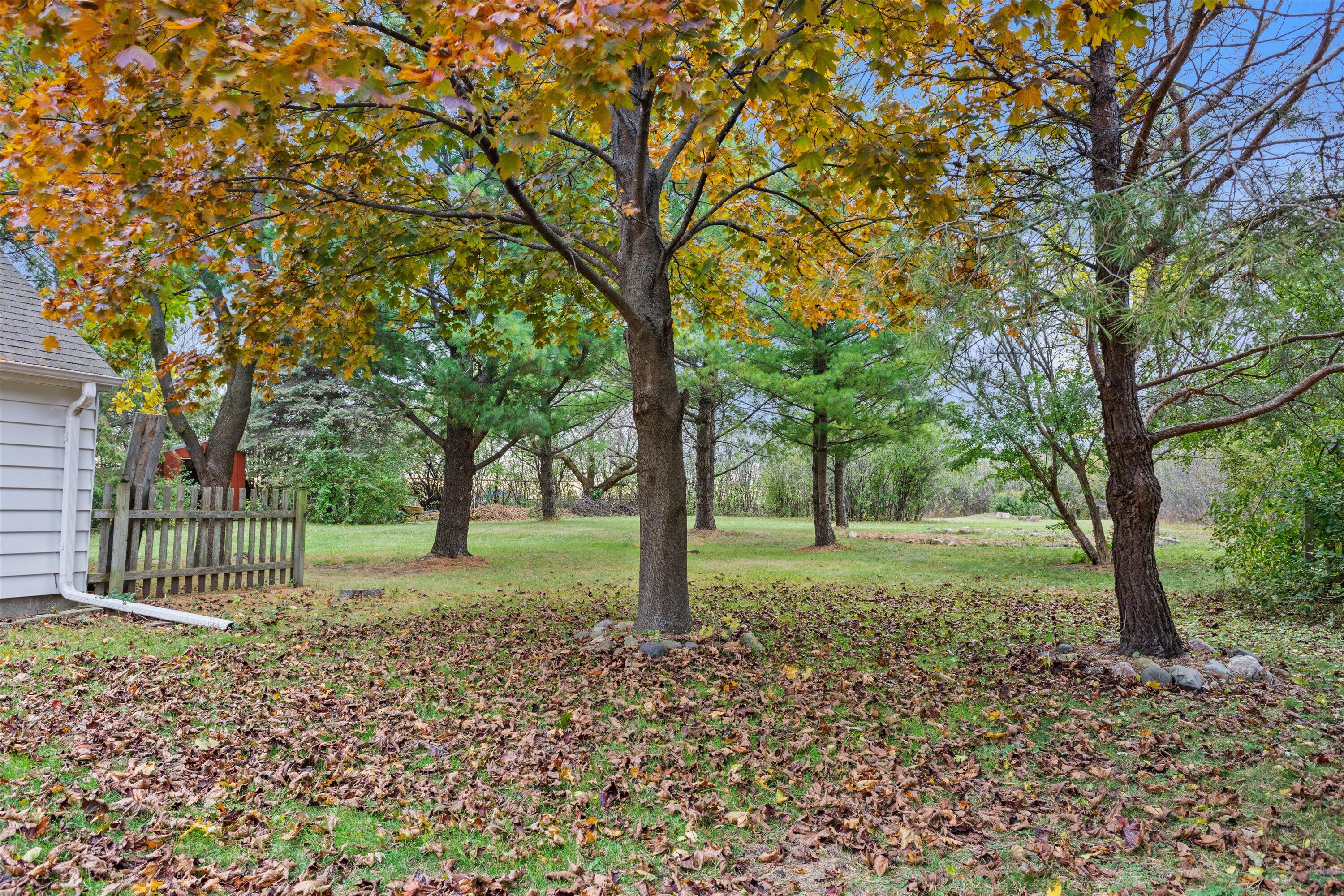 7043 North 107th Street Milwaukee, WI 53224 - Photo 44 of 55 Large property with grown trees