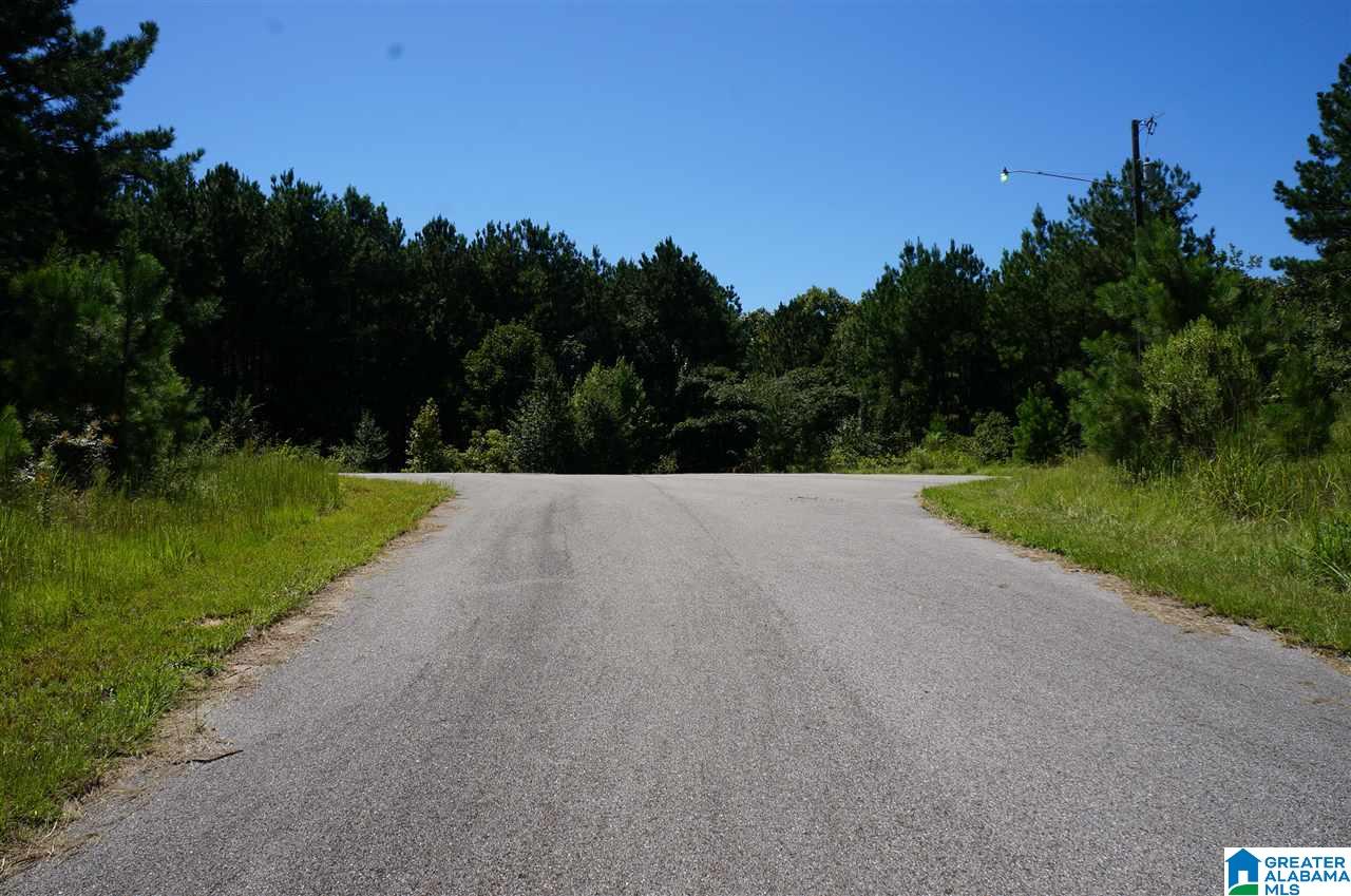 190 Castaway Road, Unit LOT 190 Sylacauga, AL 35151 - Photo 6 of 6