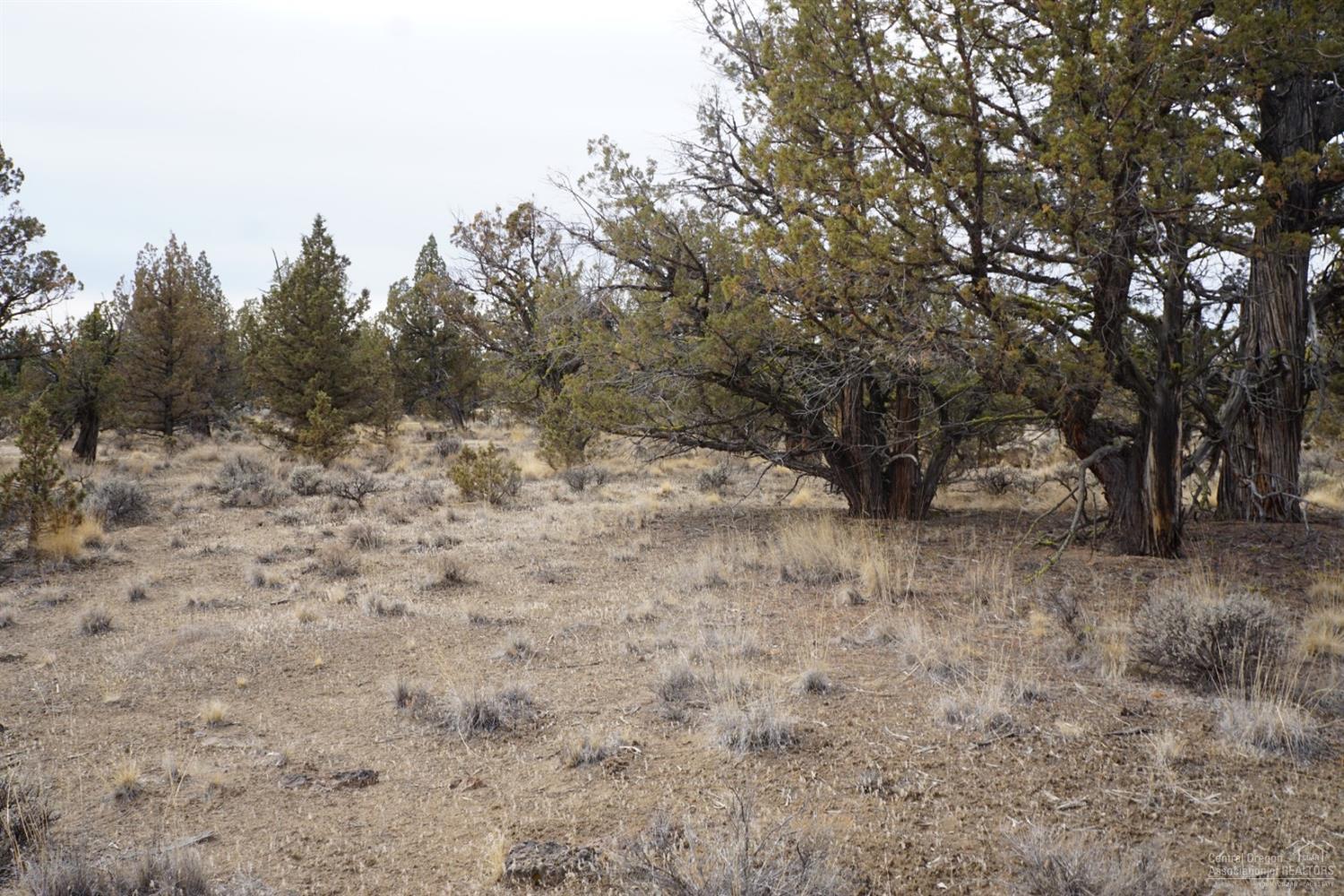 0 Southeast Omaha Road Prineville, OR 97754 - Photo 8 of 10 Additional Photo