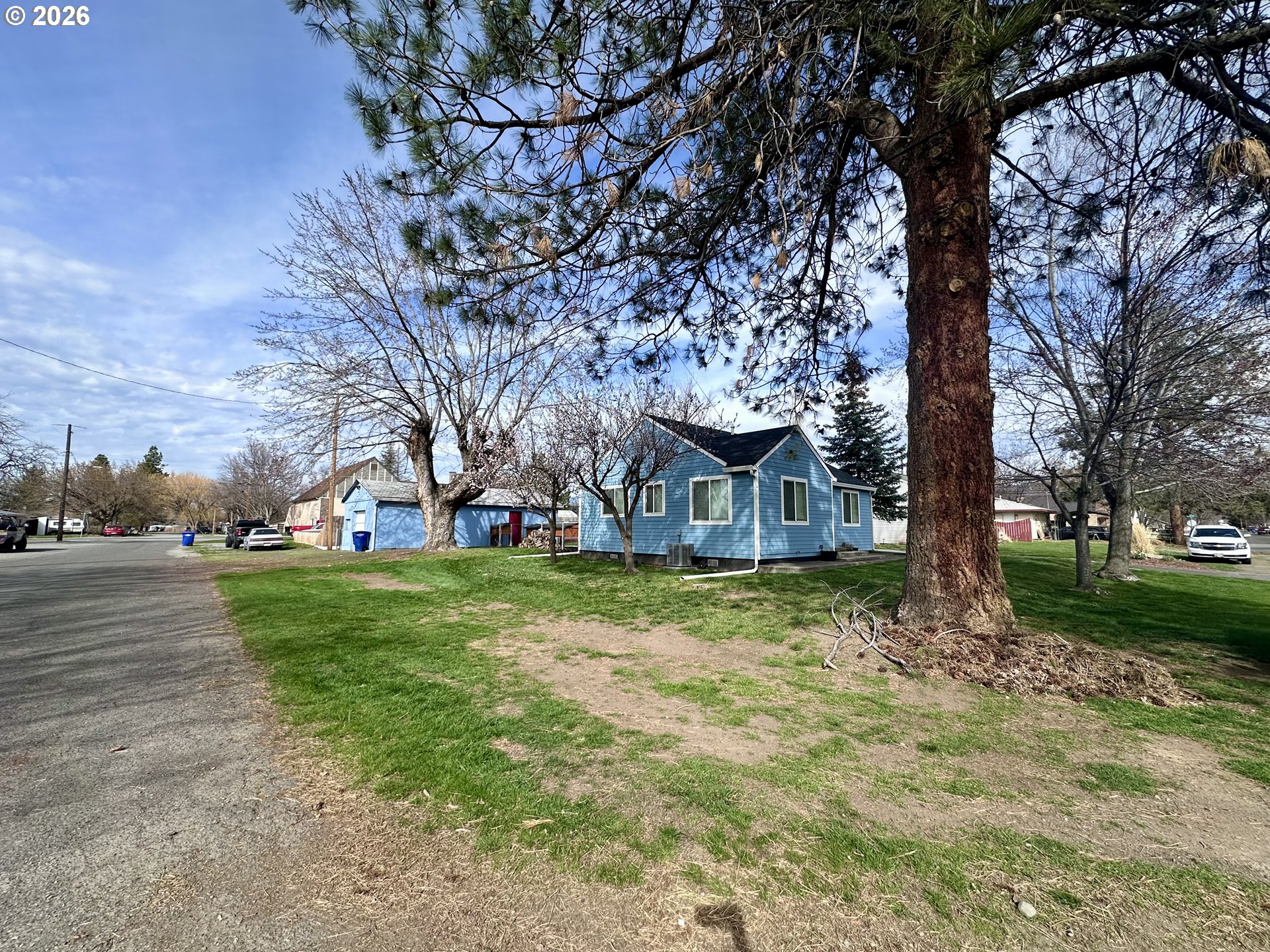 169 West Chestnut Street Union, OR 97883 - Photo 3 of 35 a view of a house with yard and tree s