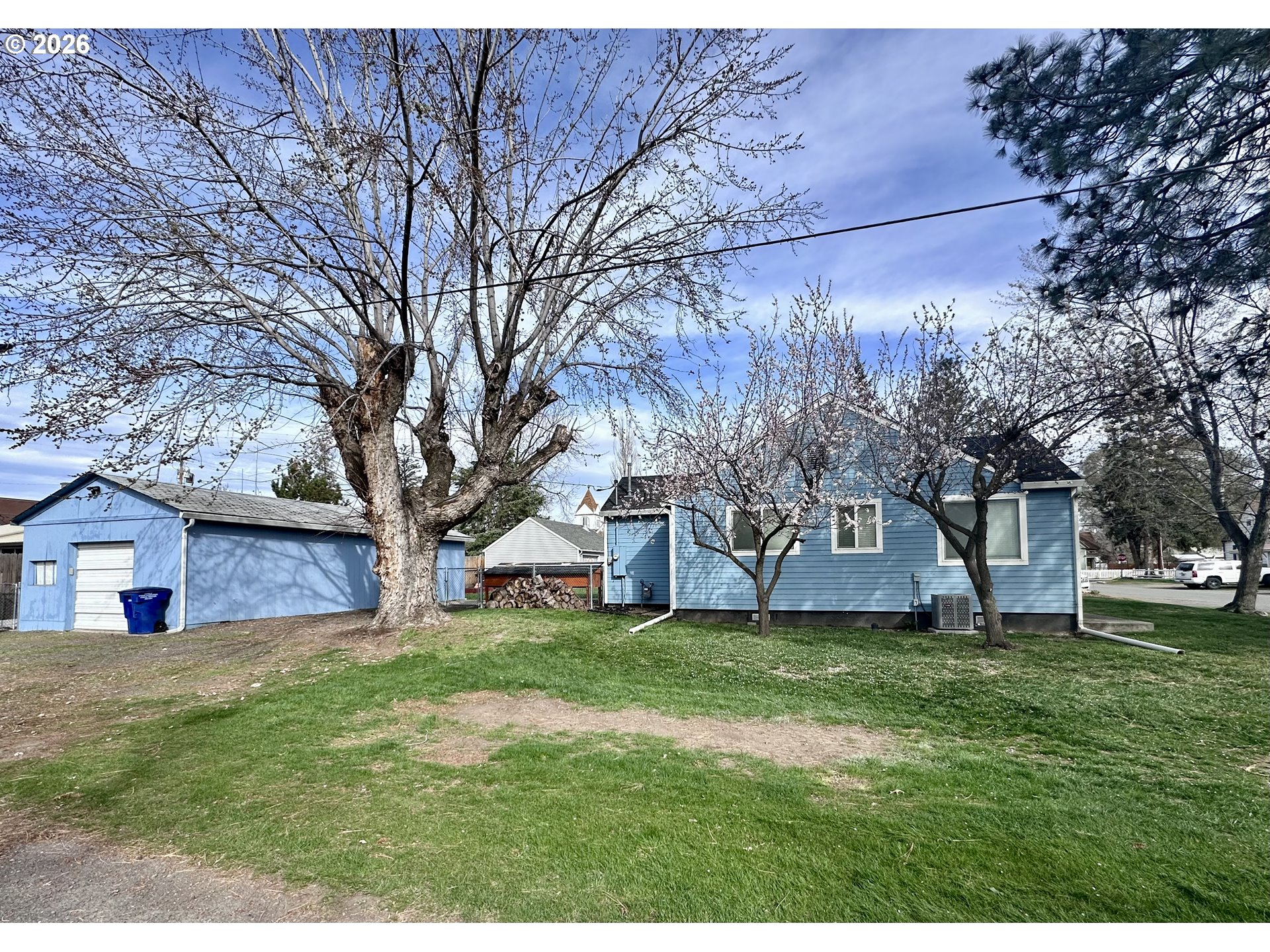 169 West Chestnut Street Union, OR 97883 - Photo 4 of 35 a view of a yard with a large tree