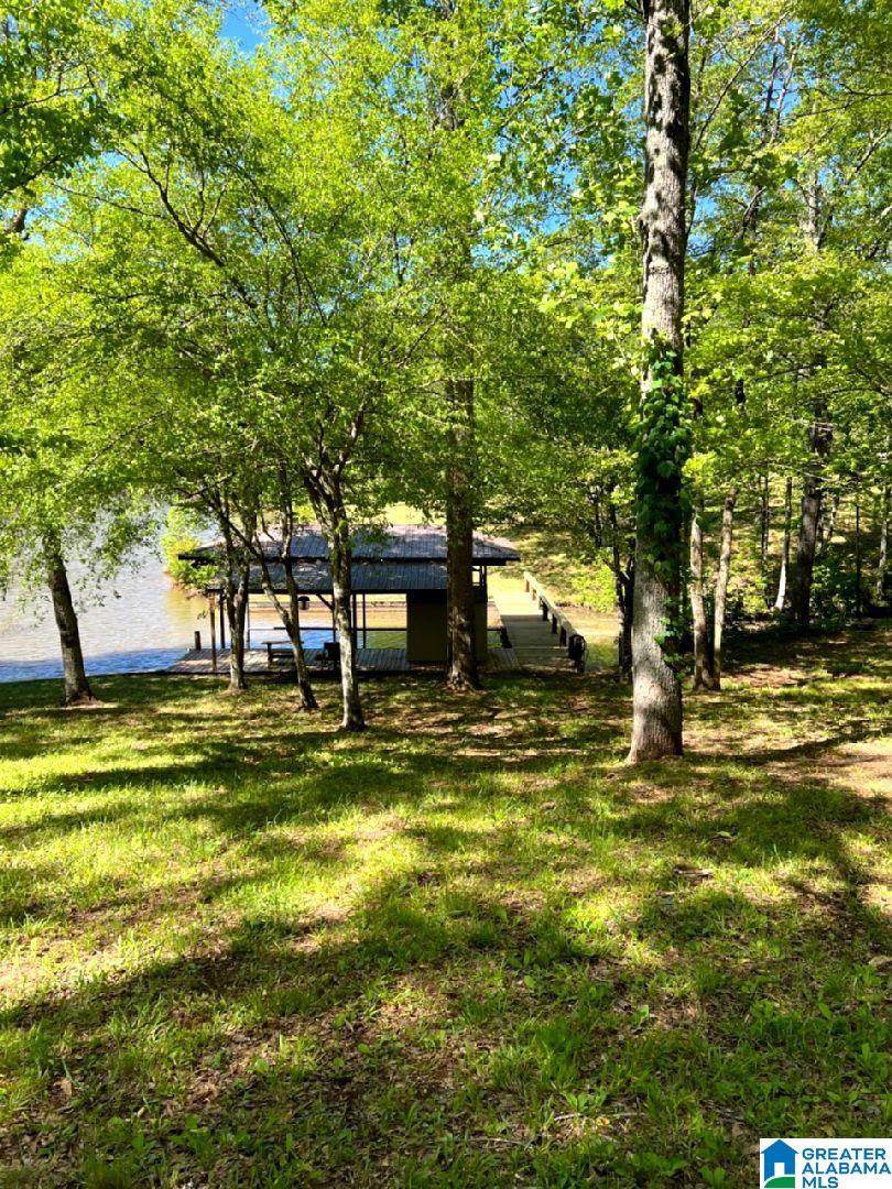 244 County Road 2011 Delta, AL 36258 - Photo 14 of 29
