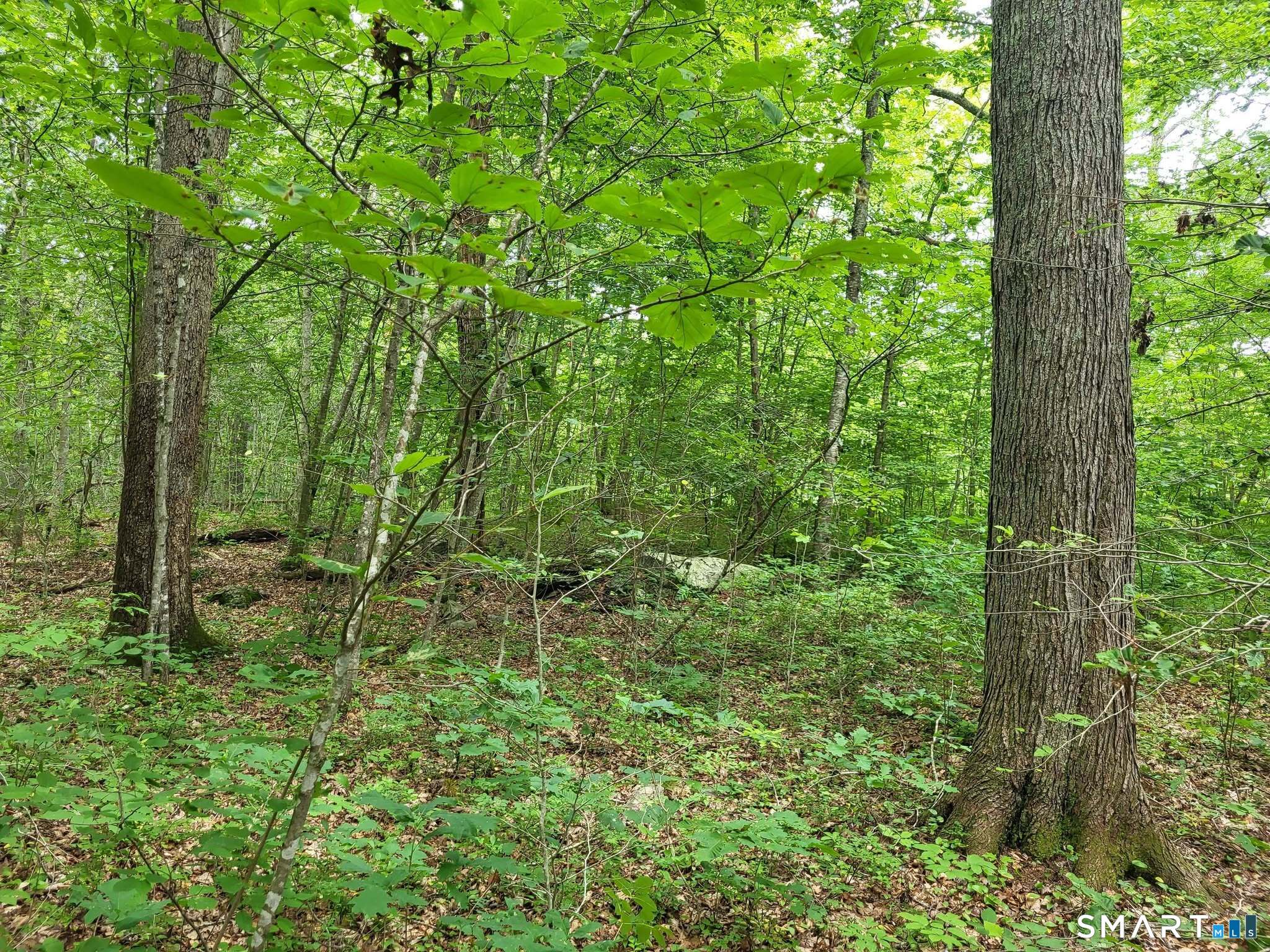 305 Tripp Hollow Road Brooklyn, CT 06234 - Photo 21 of 29