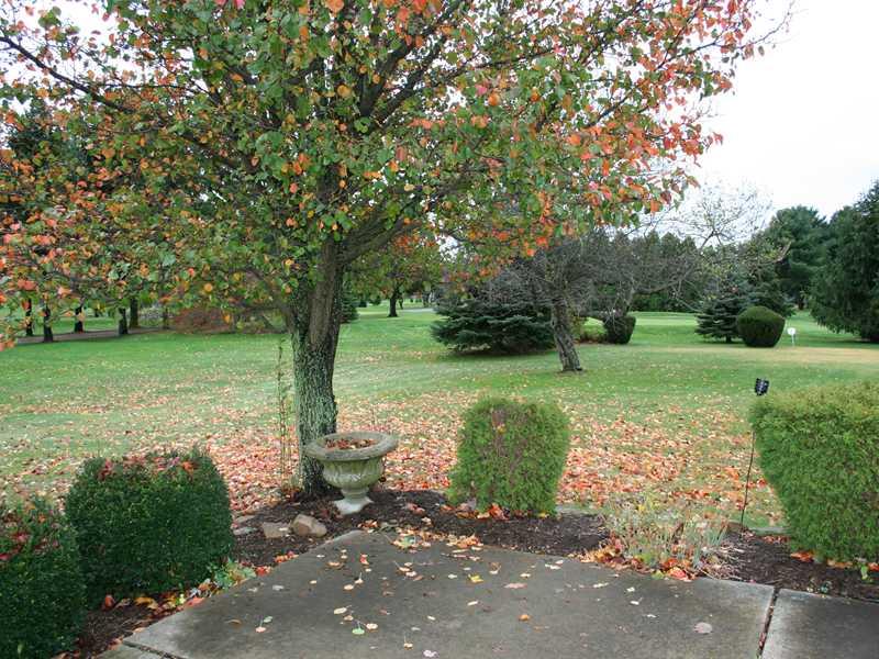 267 Isle Road Butler, PA 16001 - Photo 11 of 13 Land/Lot. Gorgeous view from anywhere in the yard, including this nice patio.