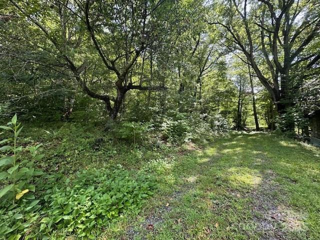 1880 Brasstown Road Cullowhee, NC 28723 - Photo 25 of 41 Gallery Image 25