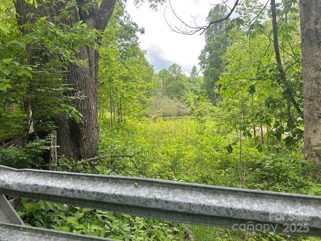 1880 Brasstown Road Cullowhee, NC 28723 - Photo 26 of 41 Gallery Image 26