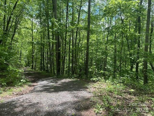 1880 Brasstown Road Cullowhee, NC 28723 - Photo 27 of 41 Gallery Image 27