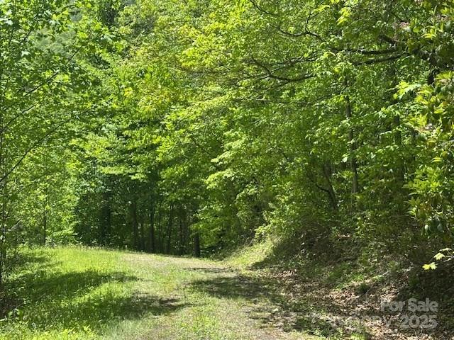 1880 Brasstown Road Cullowhee, NC 28723 - Photo 28 of 41 Gallery Image 28