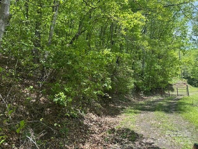 1880 Brasstown Road Cullowhee, NC 28723 - Photo 29 of 41 Gallery Image 29