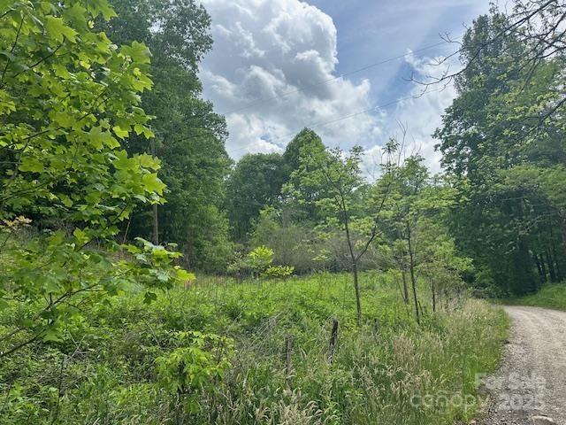 1880 Brasstown Road Cullowhee, NC 28723 - Photo 31 of 41 Gallery Image 31
