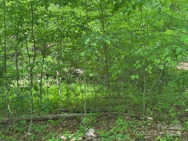 1880 Brasstown Road Cullowhee, NC 28723 - Photo 32 of 41 Gallery Image 32