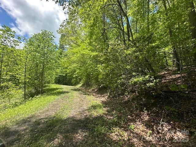1880 Brasstown Road Cullowhee, NC 28723 - Photo 33 of 41 Gallery Image 33