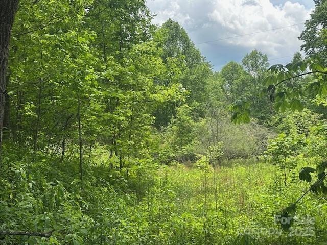 1880 Brasstown Road Cullowhee, NC 28723 - Photo 34 of 41 Gallery Image 34