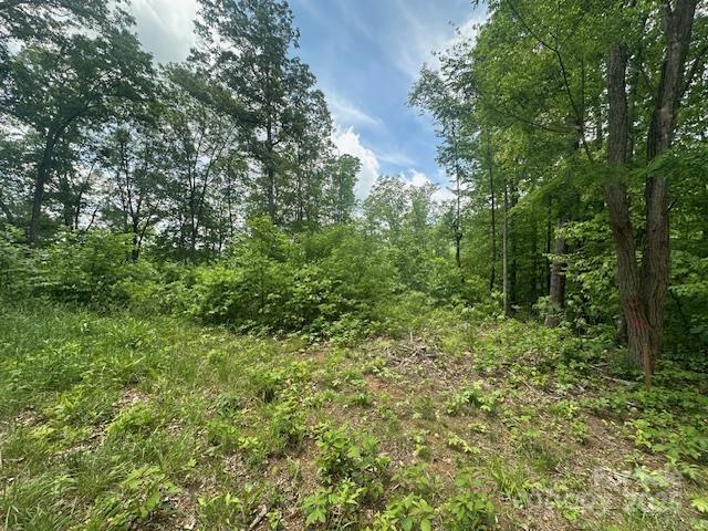 1880 Brasstown Road Cullowhee, NC 28723 - Photo 35 of 41 Gallery Image 35