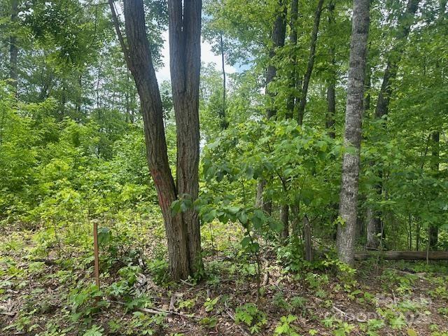 1880 Brasstown Road Cullowhee, NC 28723 - Photo 36 of 41 Gallery Image 36