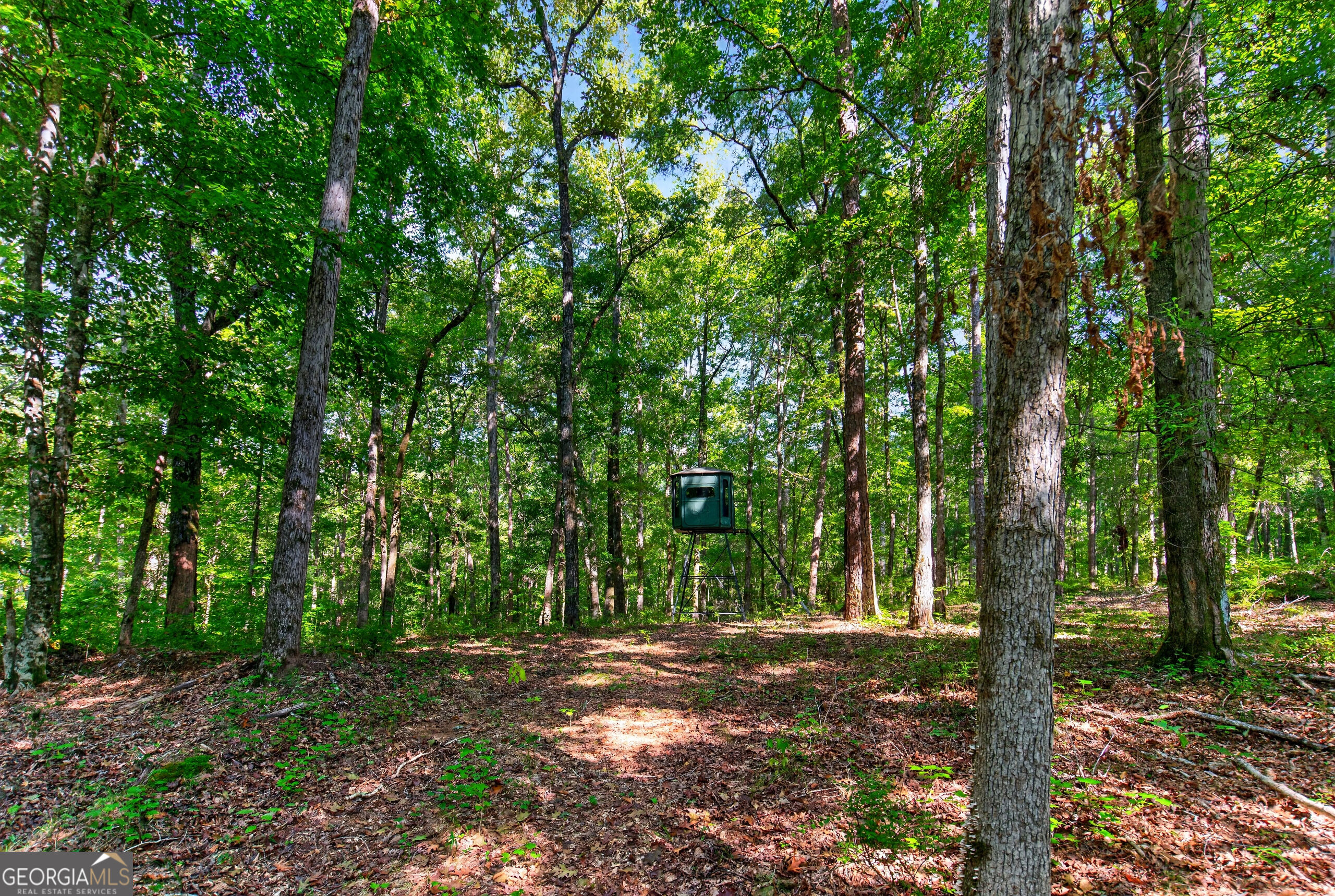 2 Salem Road LaGrange, GA 30241 - Photo 17 of 26 Gallery Image 17